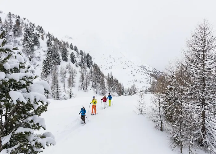 施瓦泽豪斯瑞士优质酒店 酒店