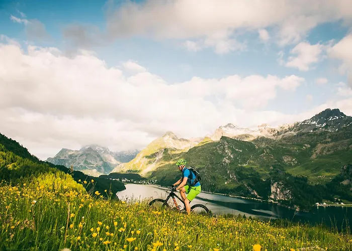 施瓦泽豪斯瑞士优质酒店 马洛亚